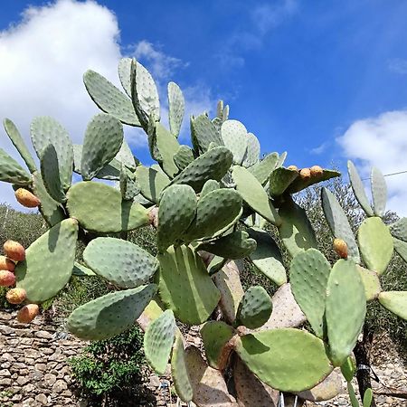 키아바리 Le Drupe 빌라 외부 사진